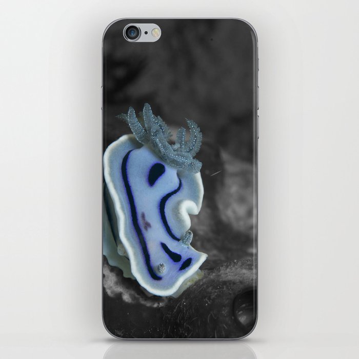 Blue nudibranch (Chromodoris willani) iPhone Skin