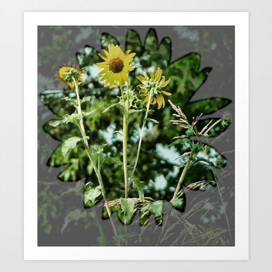 Wildflower Art Print