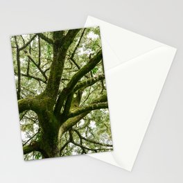Old Growth Stationery Cards