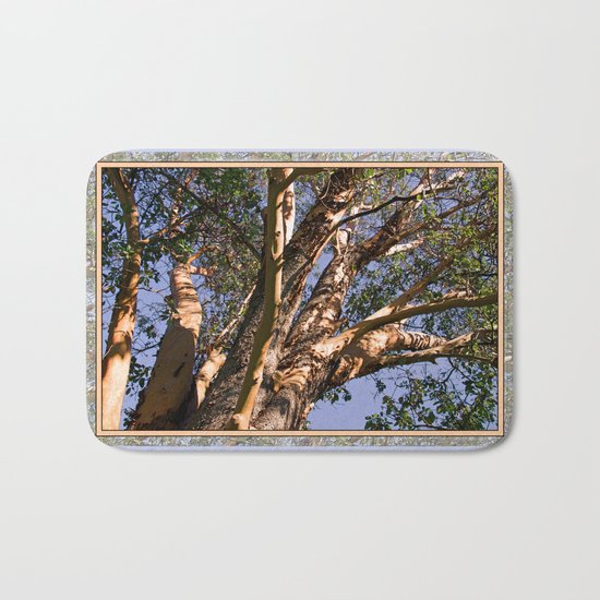 GREAT MADRONA TREE LOOKING SKYWARD Bath Mat