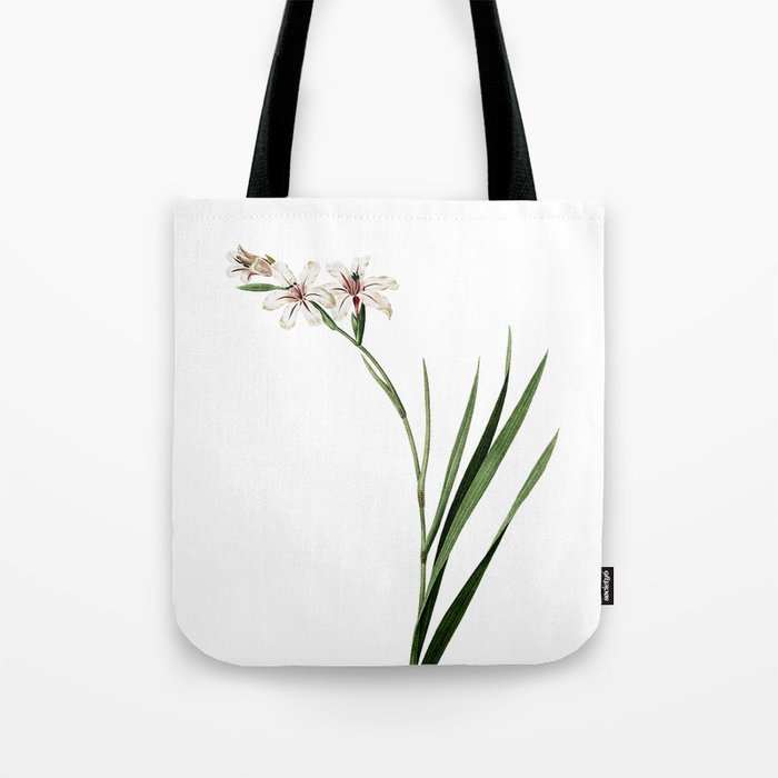 Vintage Gladiolus Botanical Illustration on Pure White Tote Bag