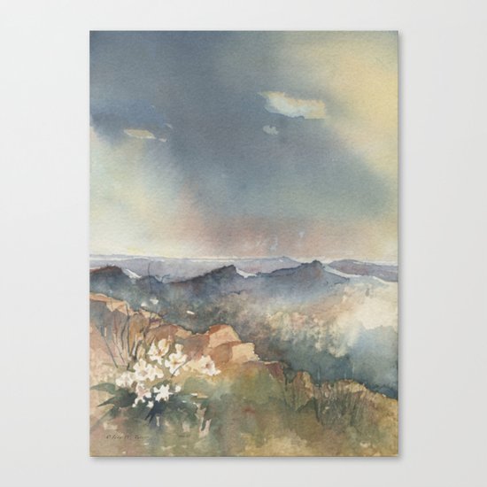 Desert Poppy Canvas Print