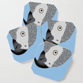 African Grey Parrot [ON SKY BLUE] Coaster