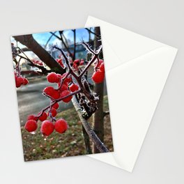 Mountain Ash Tree on a Frosty November Morning Stationery Card