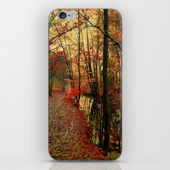 enchants iPhone & iPod Skin