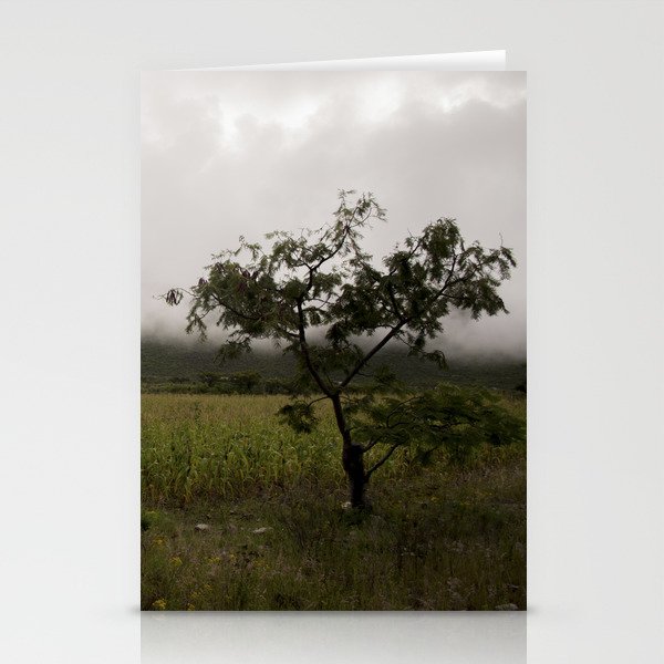 Beautiful mist Stationery Cards