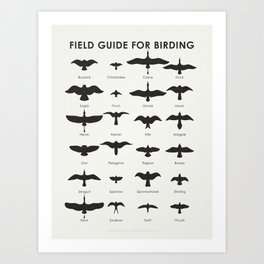 Field Guide for Birding Identification Chart Art Print