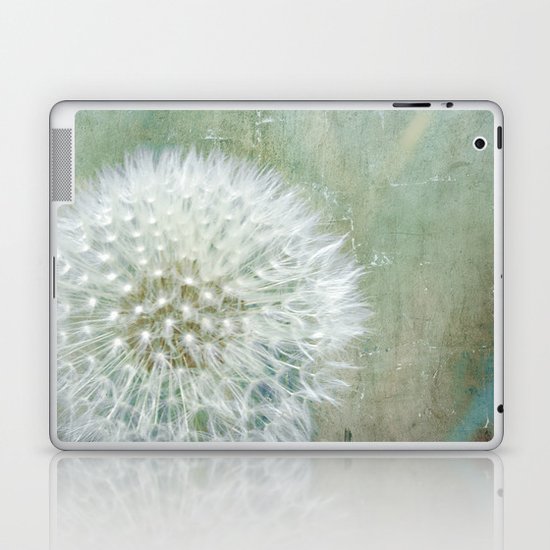 One Wish Laptop & iPad Skin