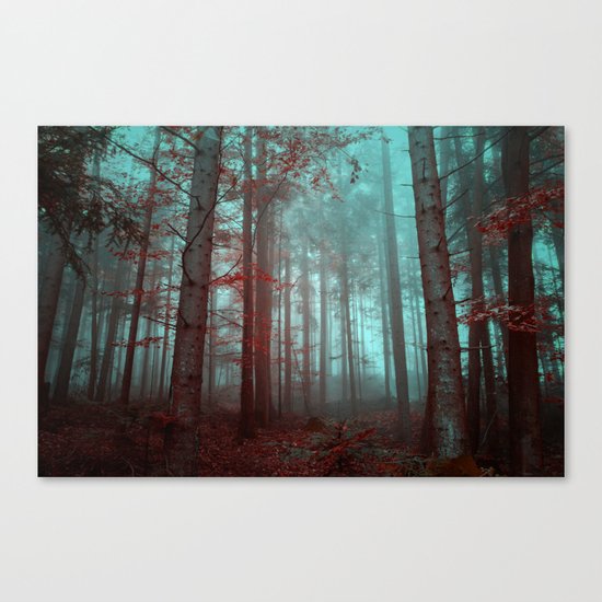 Mysterious Forest Canvas Print