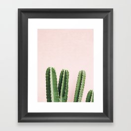 Cacti Framed Art Print