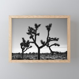 Joshua tree in black and white by ValerieAmber @valerieamberch Framed Mini Art Print