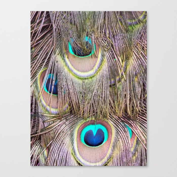 Peacock Tail Abstract Canvas Print