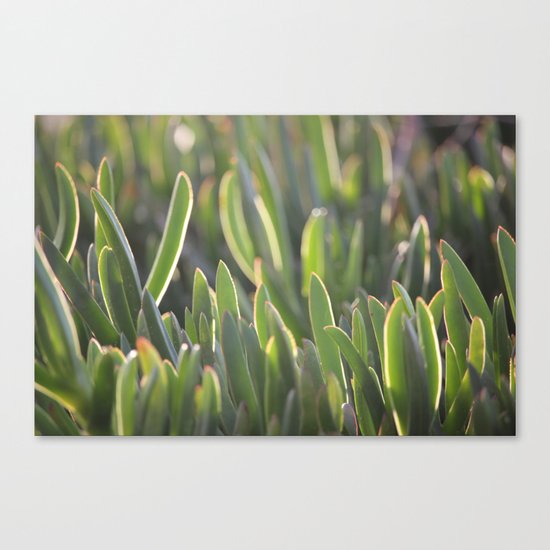 World of Imagination Canvas Print