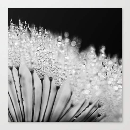 rising Canvas Print