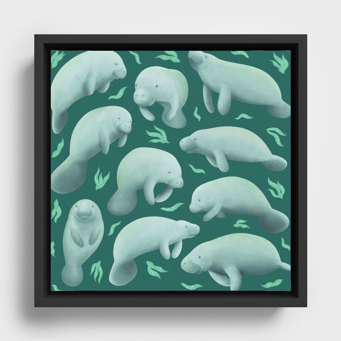 Framed Canvas
