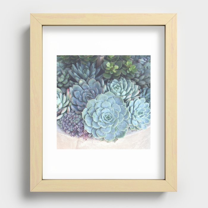 Succulent Container Recessed Framed Print