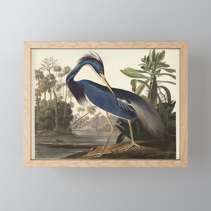 Framed Mini Art Print