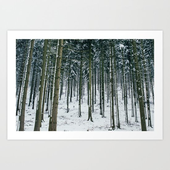 Winter Forest Treescape Art Print