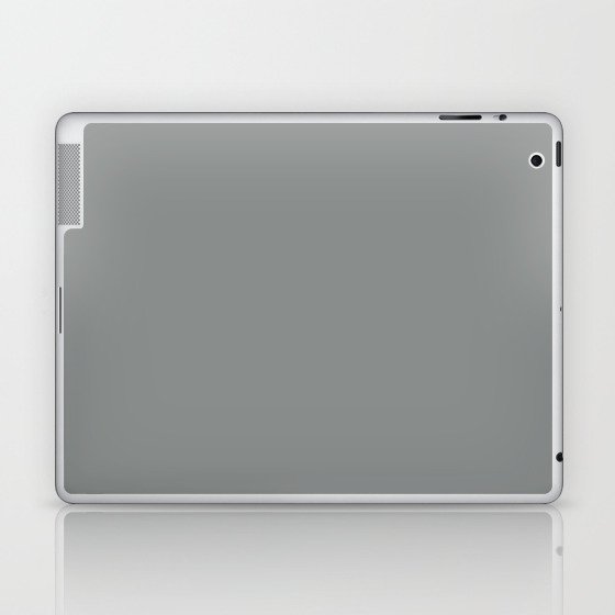Neutral Gray Laptop & iPad Skin