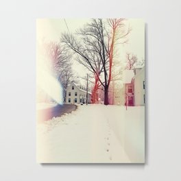 warm winter Metal Print