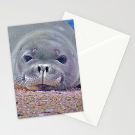 Baby Hawaiian Monk Seal by WordWorthyPhotos Stationery Card