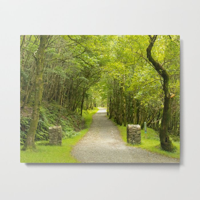 Into the Woods Metal Print