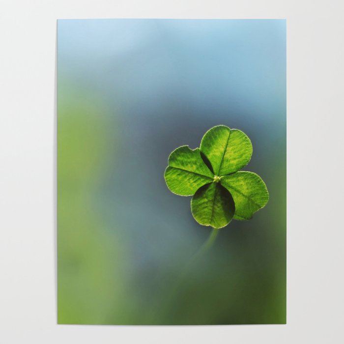 Lucky Four Leaf Clover Poster