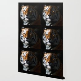 Tiger Portrait Wallpaper