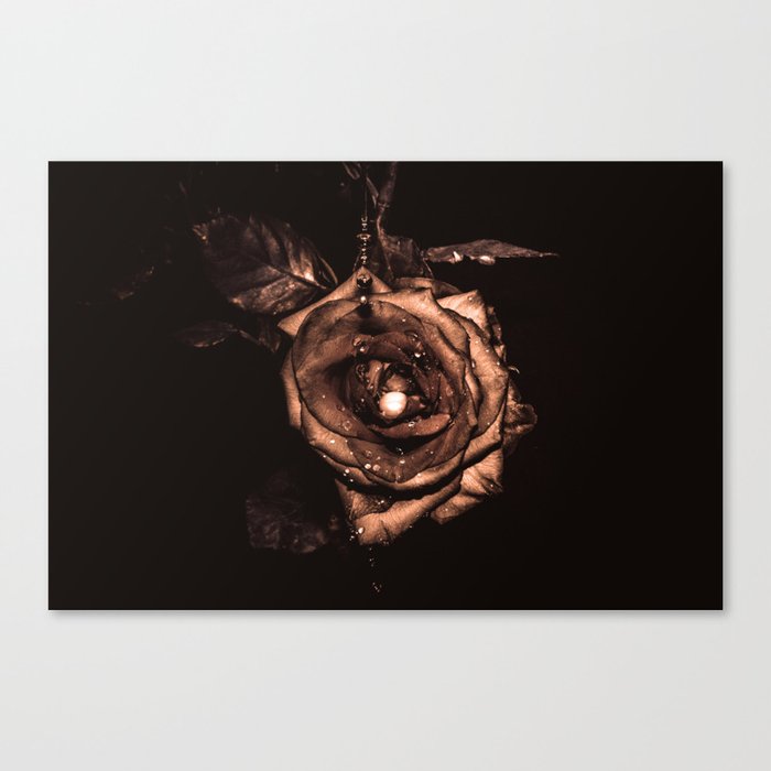 (he called me) the Wild rose Canvas Print