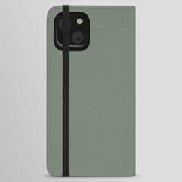 Dark Gray-Green Solid Color Pantone Sea Spray 17-6212 TCX Shades of Green Hues iPhone Wallet Case