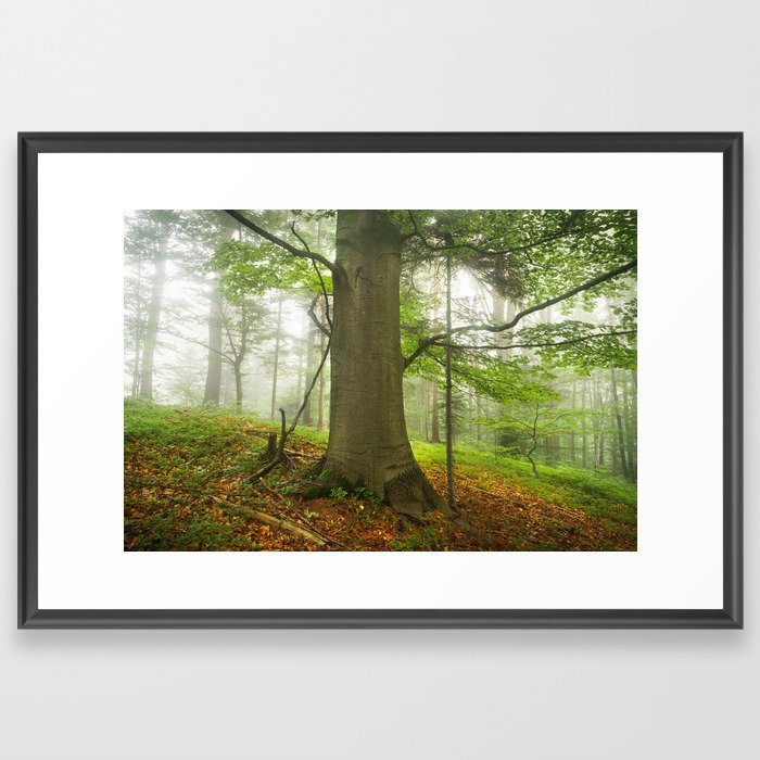 Foggy forest 4 Framed Art Print