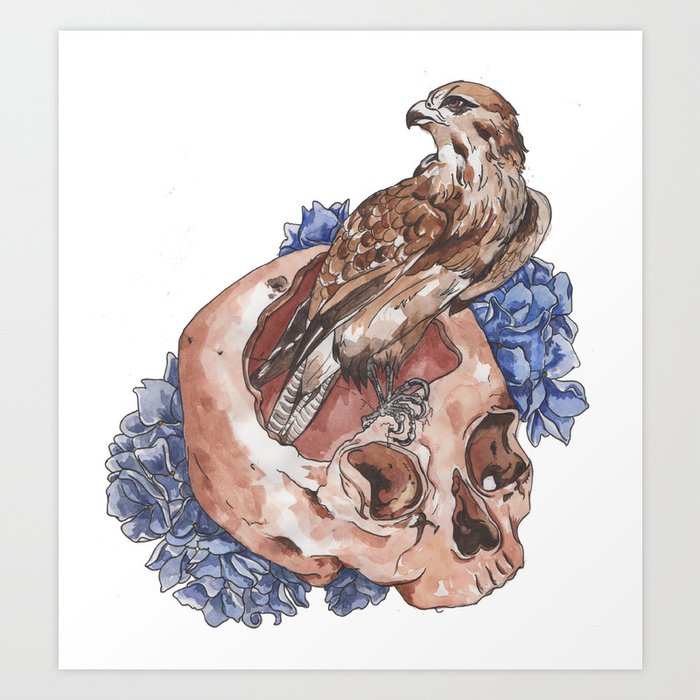 Hawk and Skull Art Print