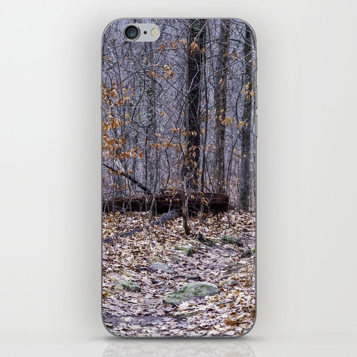 bare winter woods iPhone Skin