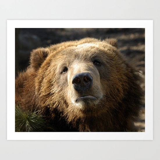 A big sad Teddy Bear Art Print