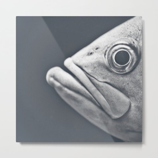Eye There Metal Print