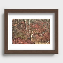 Autumn Buck Recessed Framed Print