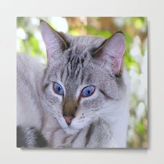 Ready for my close up Metal Print