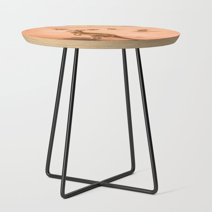 42 Wallaby Bay Side Table