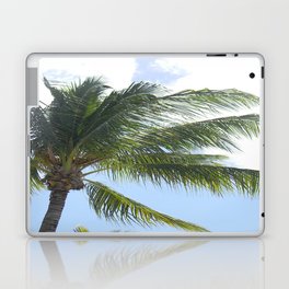 Palm Tree Laptop & iPad Skin