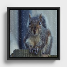  Christmas squirrel Framed Canvas