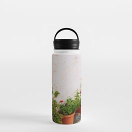 Greek Still Live with Plants | Colorful Travel Scene | Minimalistic Photography Water Bottle