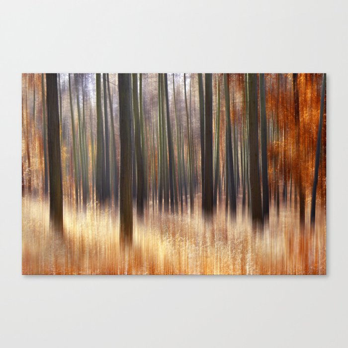 Forest 68 Canvas Print