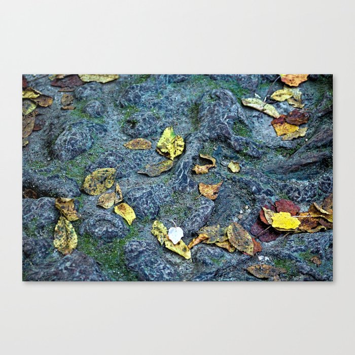 Forest Ground Fallen Leaves Autumn Nature Canvas Print