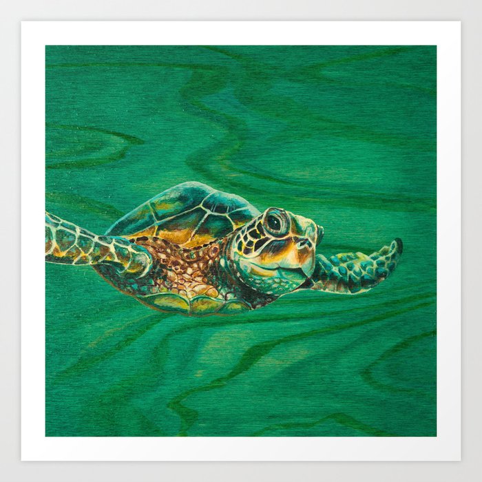 Little Turtle Art Print