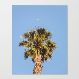 Palm Tree Moon Canvas Print