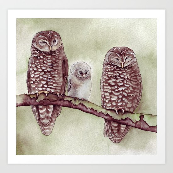The Endangered Spotted Owl Art Print
