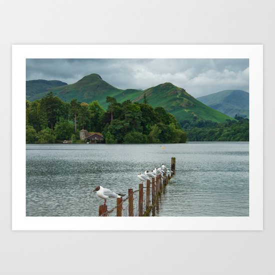 Catbells Art Print