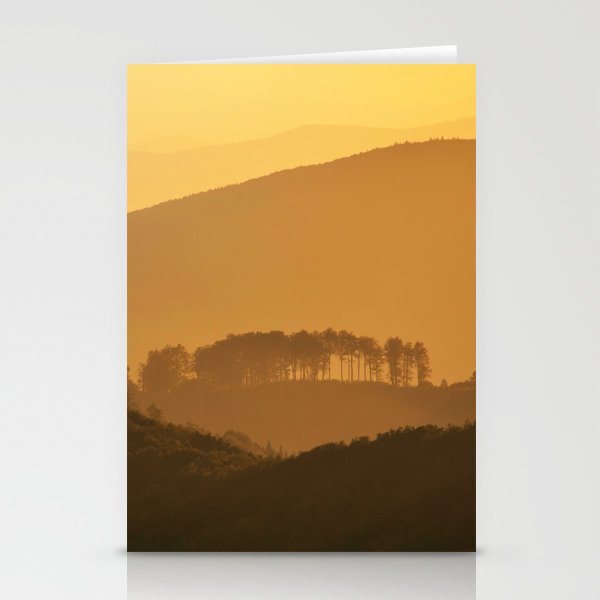 Shadows and trees Stationery Cards