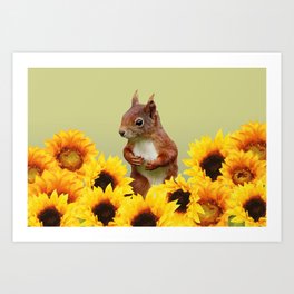 Squirrel in Sunflower Blossoms Field Art Print
