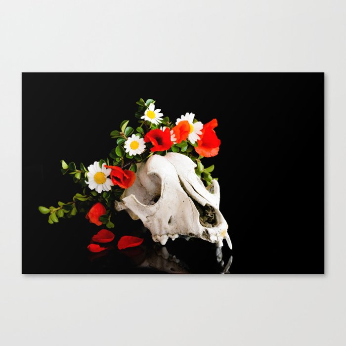 Animal Skull With A Wreath Of Wild Flower Canvas Print